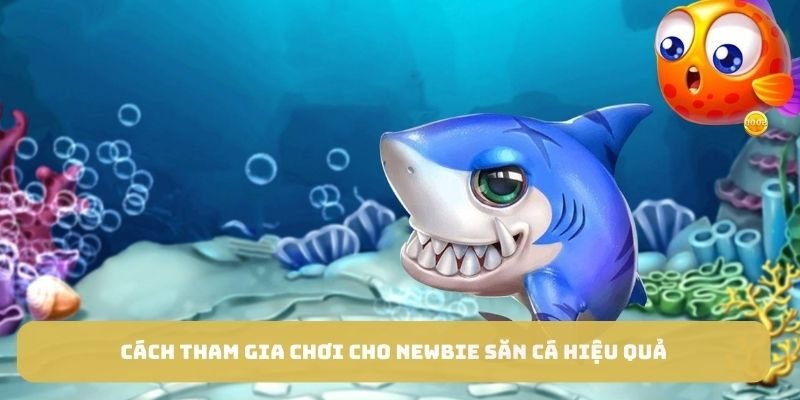 Cách tham gia chơi cho newbie săn cá hiệu quả