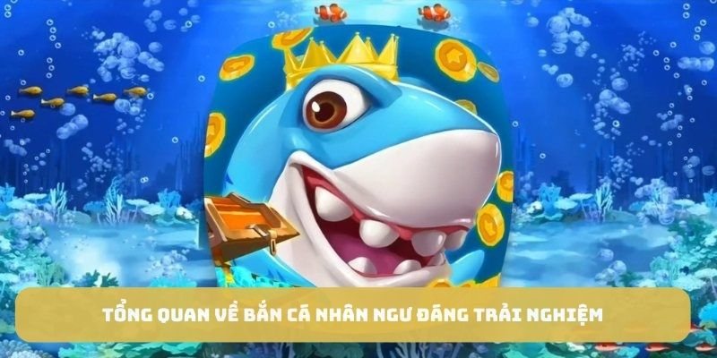 Tổng quan về bắn cá nhân ngư đáng trải nghiệm