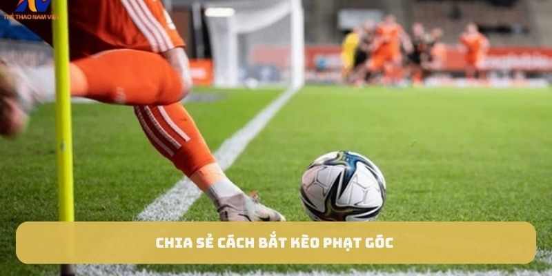 Chia sẻ cách bắt kèo phạt góc