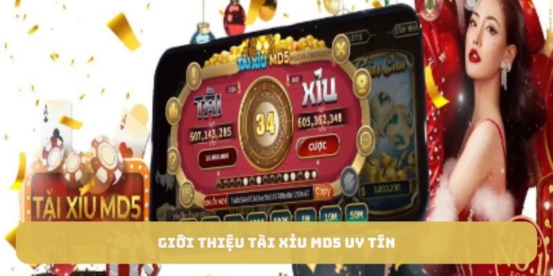 Giới thiệu tài xỉu Md5 uy tín