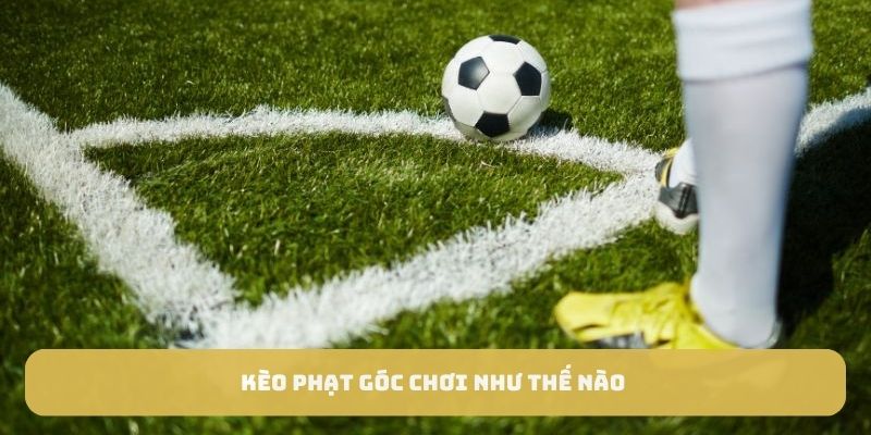 Kèo phạt góc chơi như thế nào