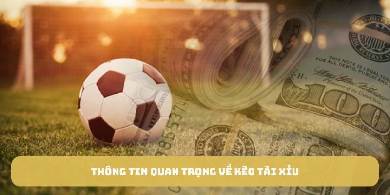 Thông tin quan trọng về kèo tài xỉu